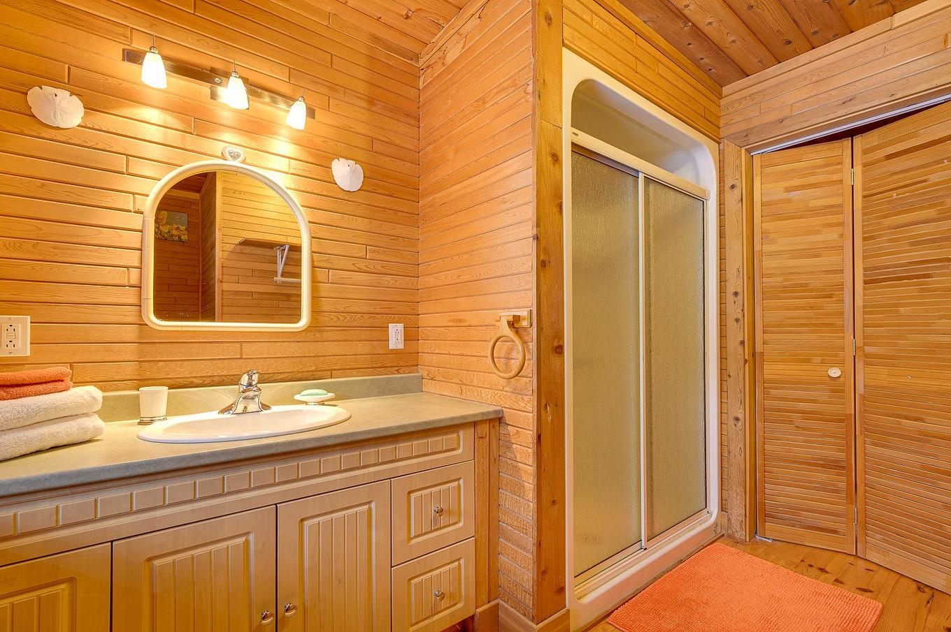 Salle de bains - 3390Z Rue Lachaine, Val-David, QC