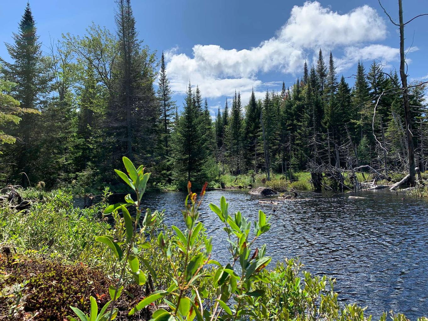 Autre - 3390Z Rue Lachaine, Val-David, QC