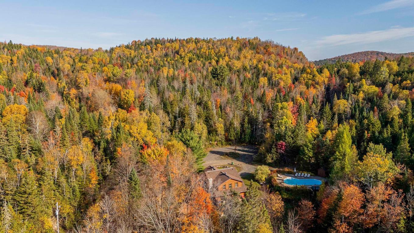 Vue d'ensemble - 3390Z Rue Lachaine, Val-David, QC