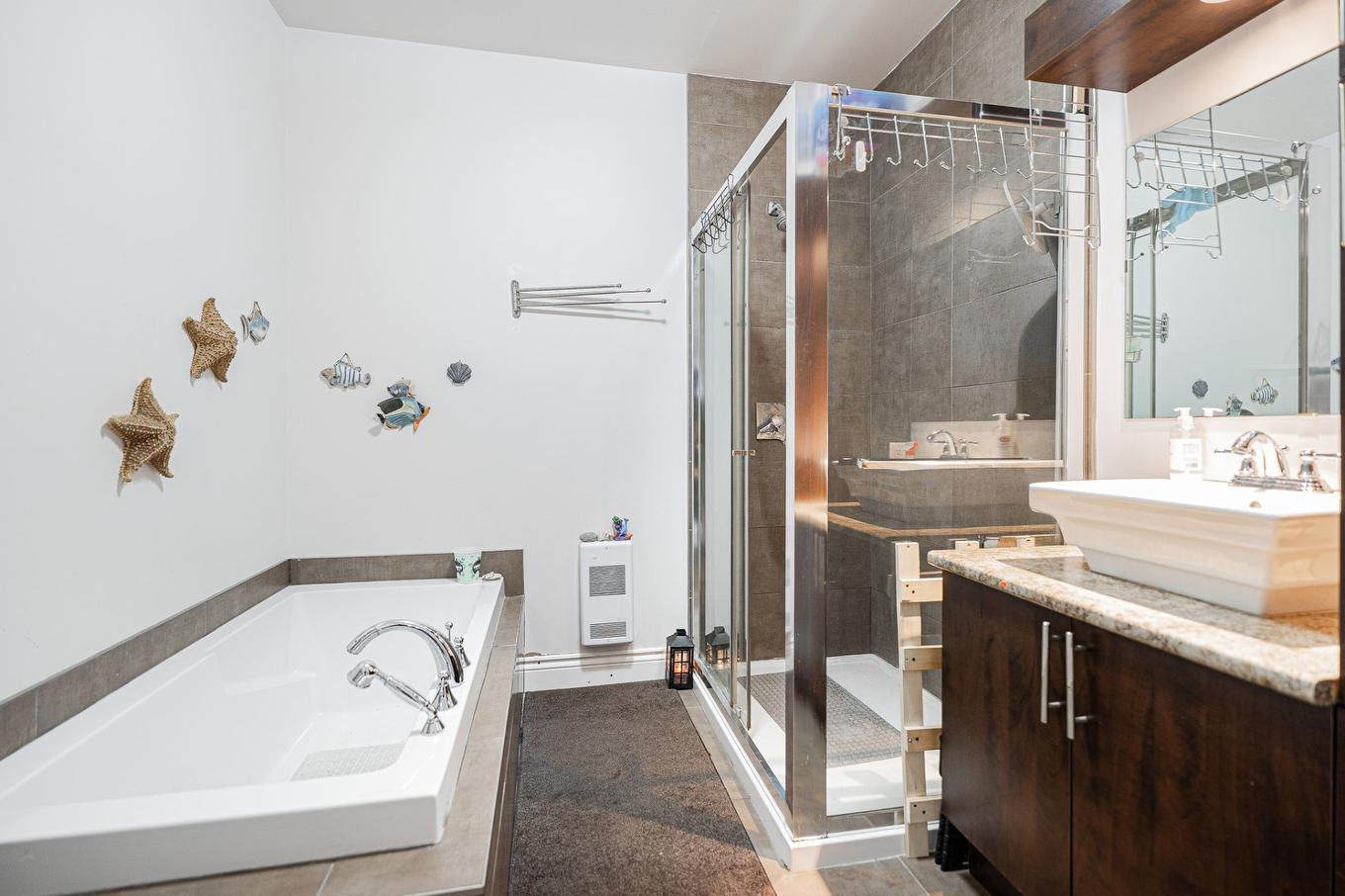 Bathroom - 2-2519 Rue Préfontaine, Longueuil (Le Vieux-Longueuil), QC - Indoor Photo Showing Bathroom