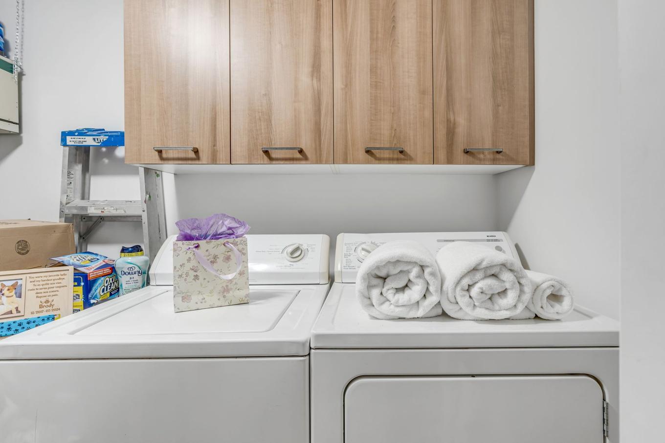 Salle de lavage - 204-1905 Boul. Guillaume-Couture, Lévis (Les Chutes-De-La-Chaudière-Est), QC - Indoor Photo Showing Laundry Room