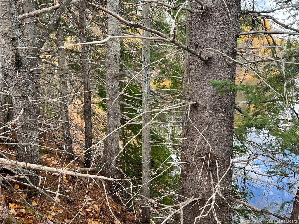 Lot 25-3 Creekview Lane, Galloway, NB