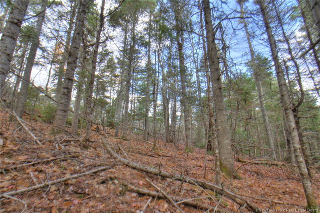 Lot 25-8 Creekview Lane, Galloway, NB