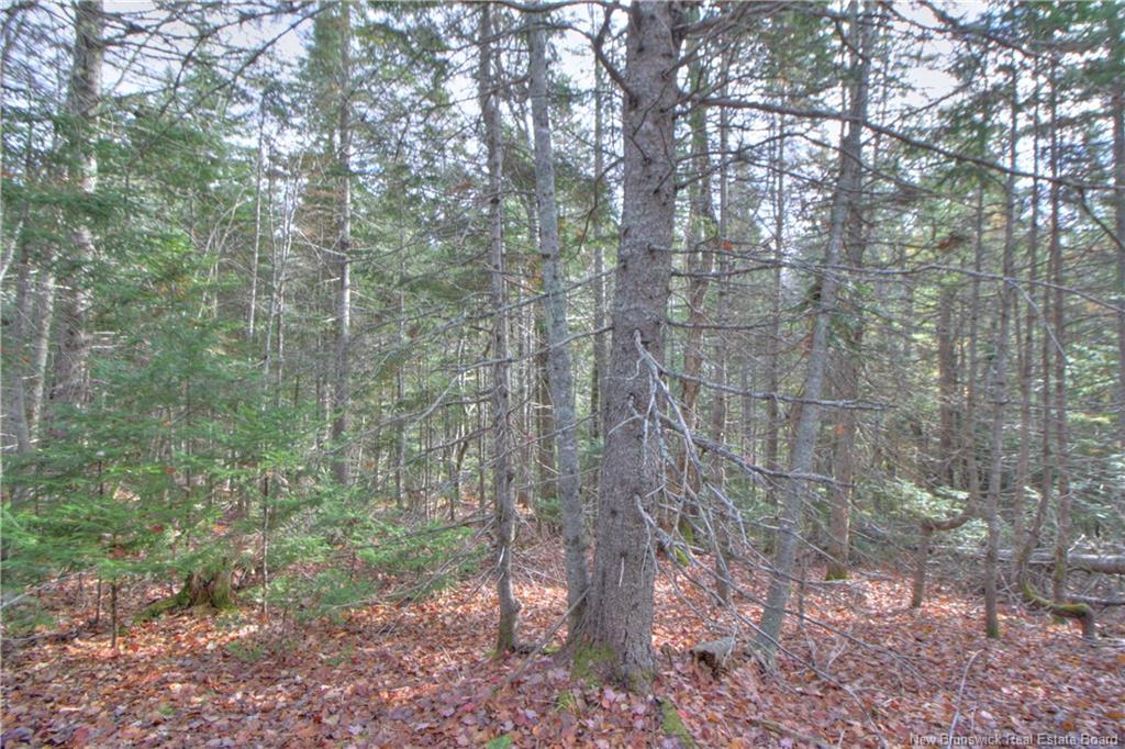 Lot 25-8 Creekview Lane, Galloway, NB