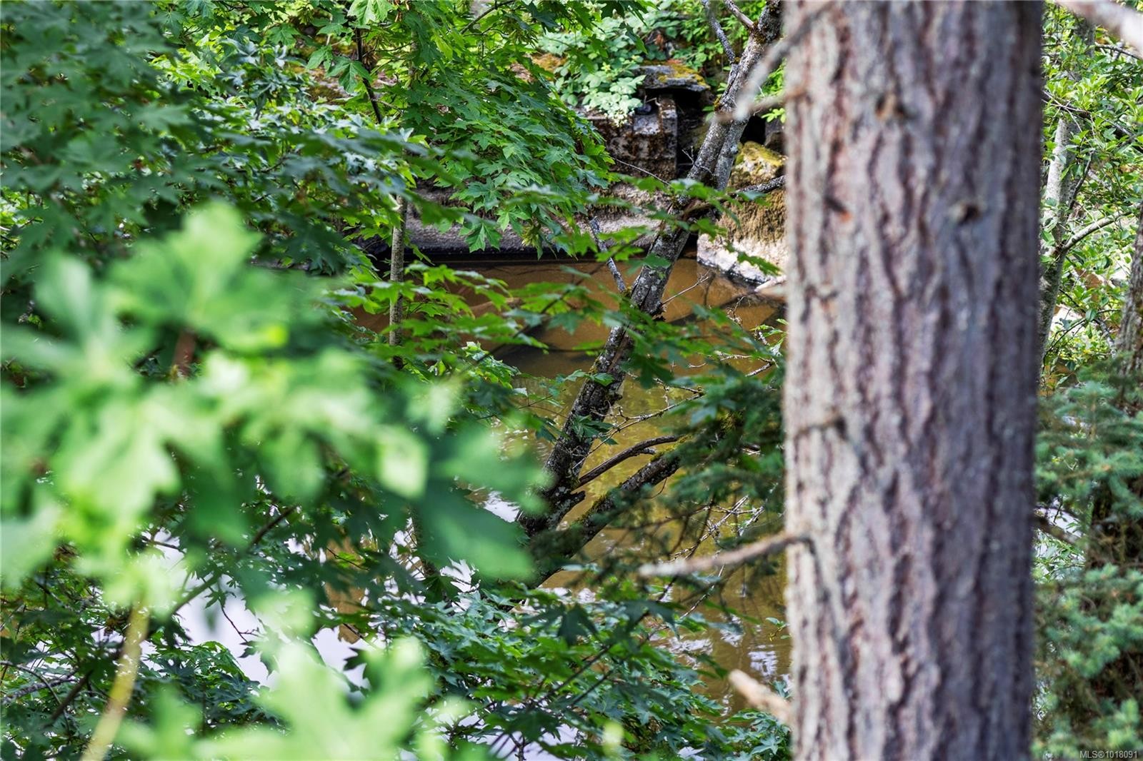 10-111 Wall St, Nanaimo, BC