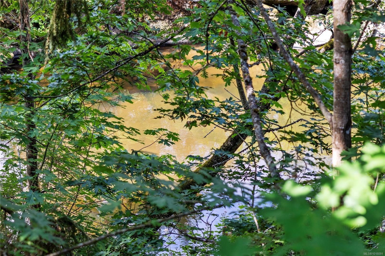 10-111 Wall St, Nanaimo, BC