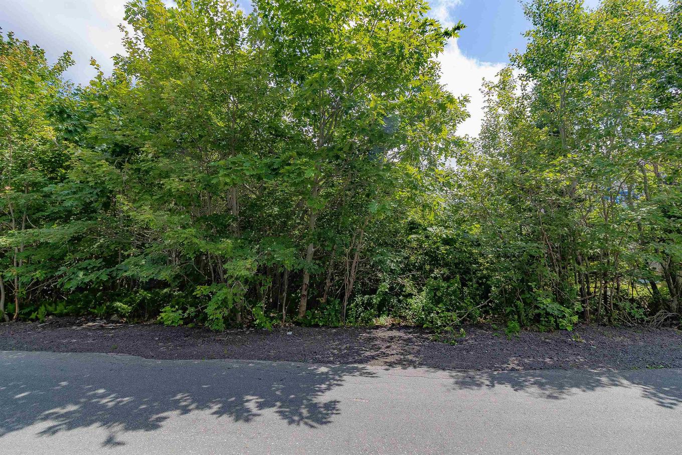 Mansion Avenue, Halifax, NS