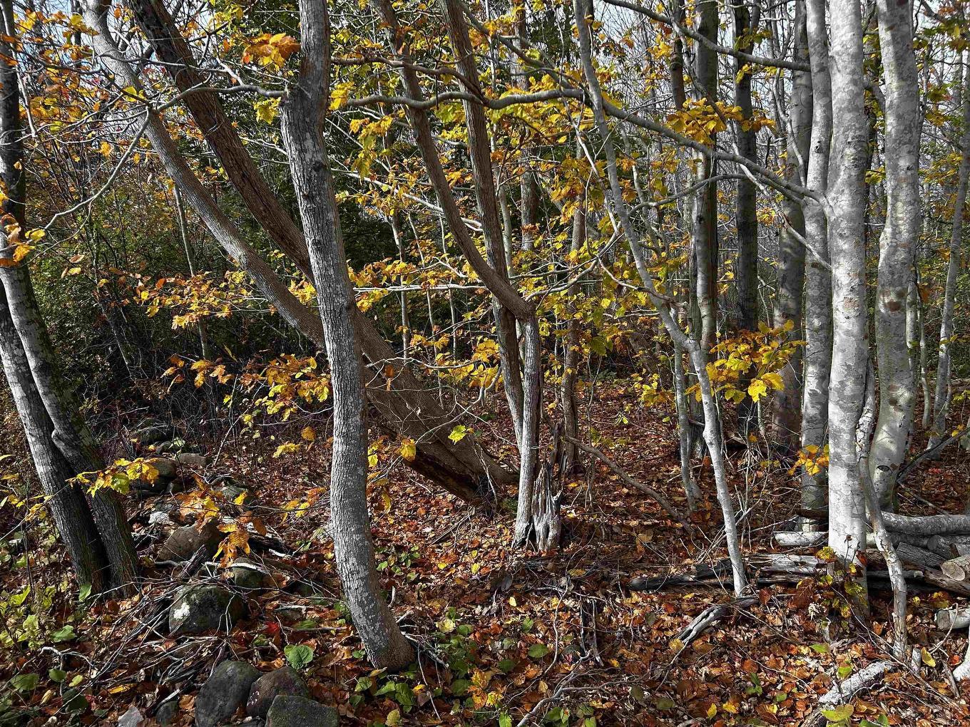 Lot Granville Road, Karsdale, NS