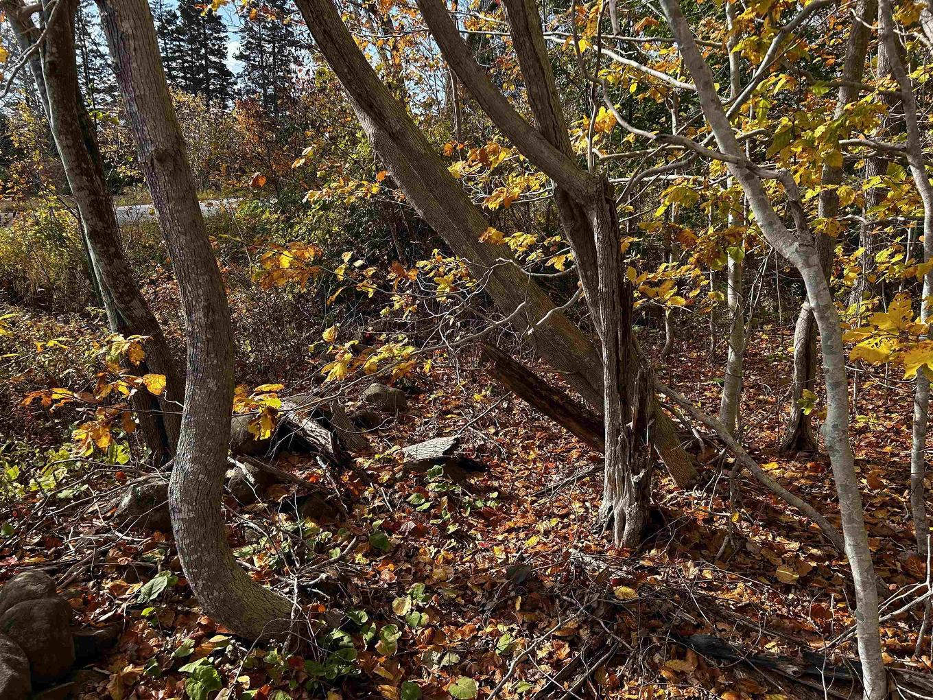 Lot Granville Road, Karsdale, NS