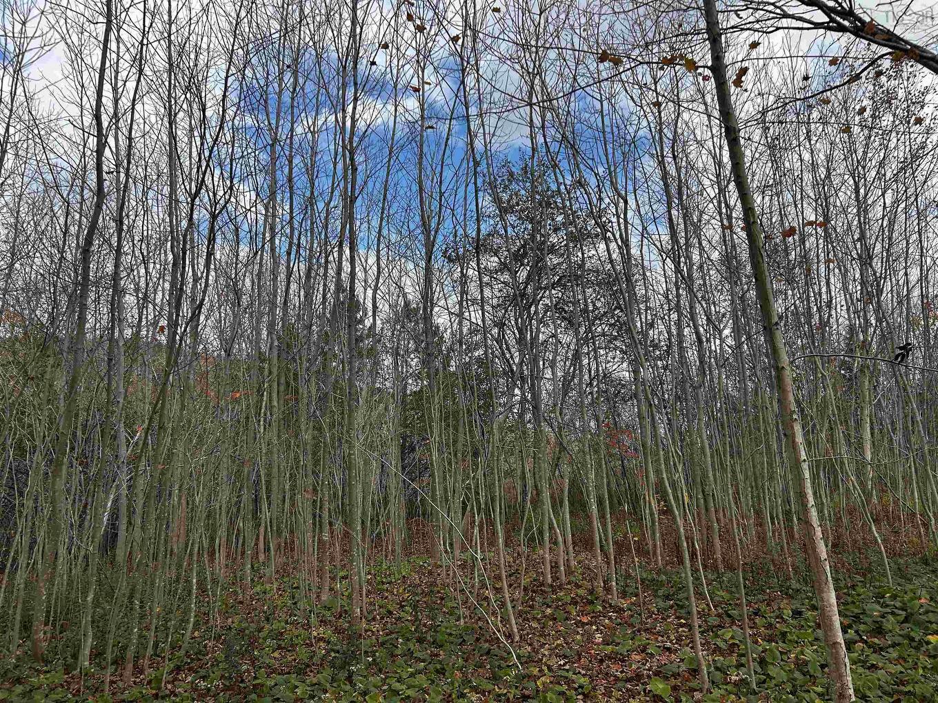 Lot Granville Road, Karsdale, NS