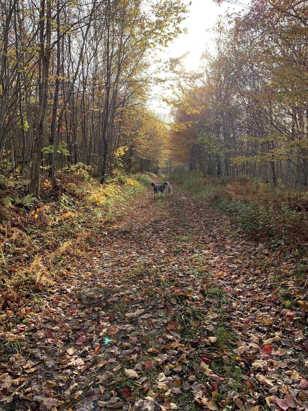Lot Whycocomagh-Mabou Road, Skye Glen, NS