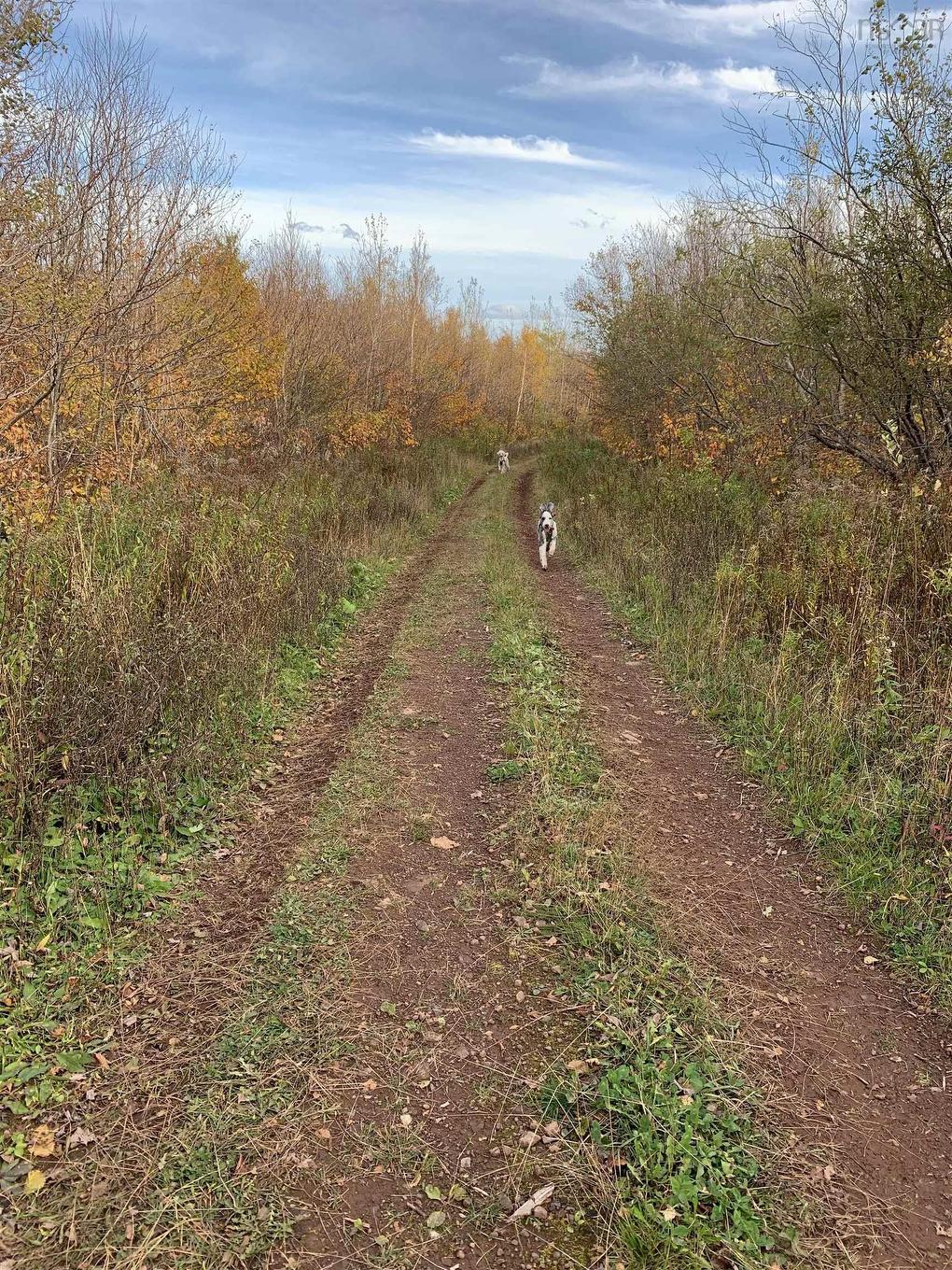 Lot Whycocomagh-Mabou Road, Skye Glen, NS