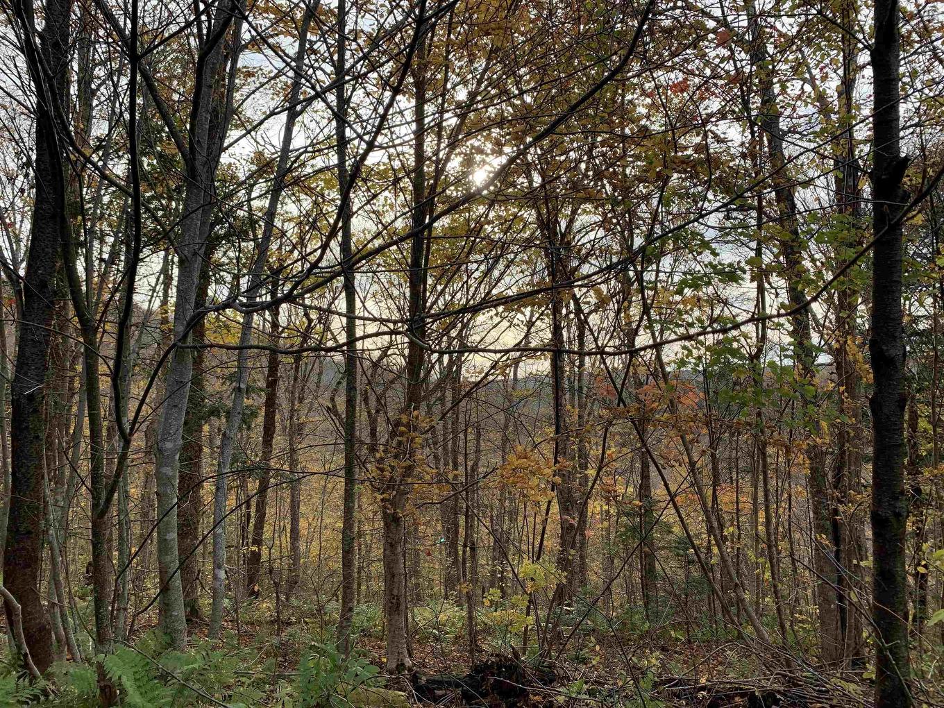 Lot Whycocomagh-Mabou Road, Skye Glen, NS