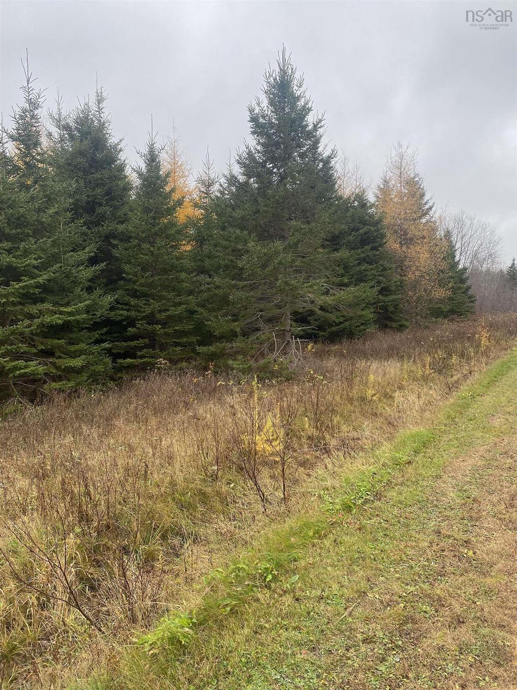 Lot 7 New Cheverie Road, Lower Burlington, NS