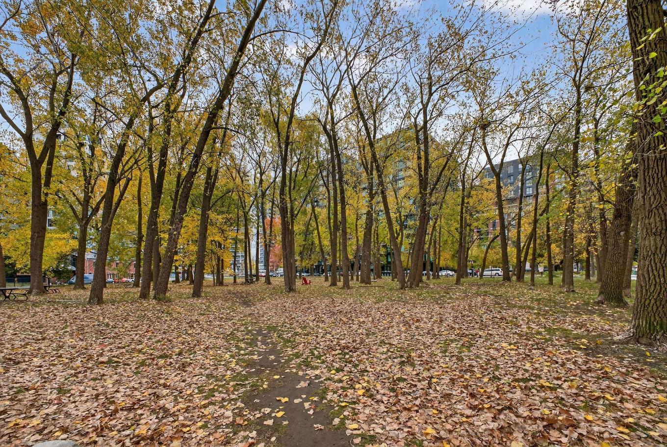 Other - 510-1228 Rue Des Bassins, Montréal (Le Sud-Ouest), QC - Outdoor