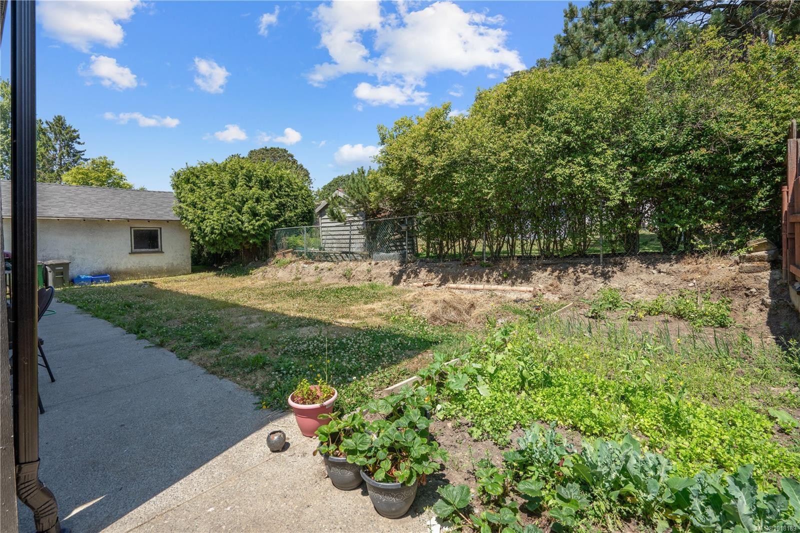 146 Cadillac Ave, Saanich, BC