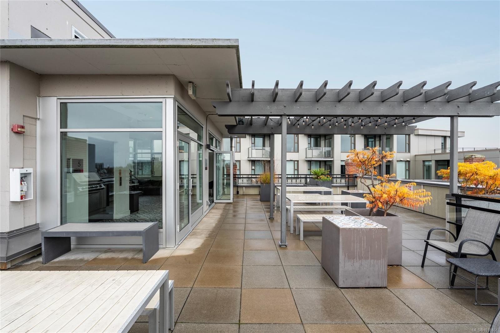 211-456 Pandora Ave, Victoria, BC - Outdoor With Deck Patio Veranda