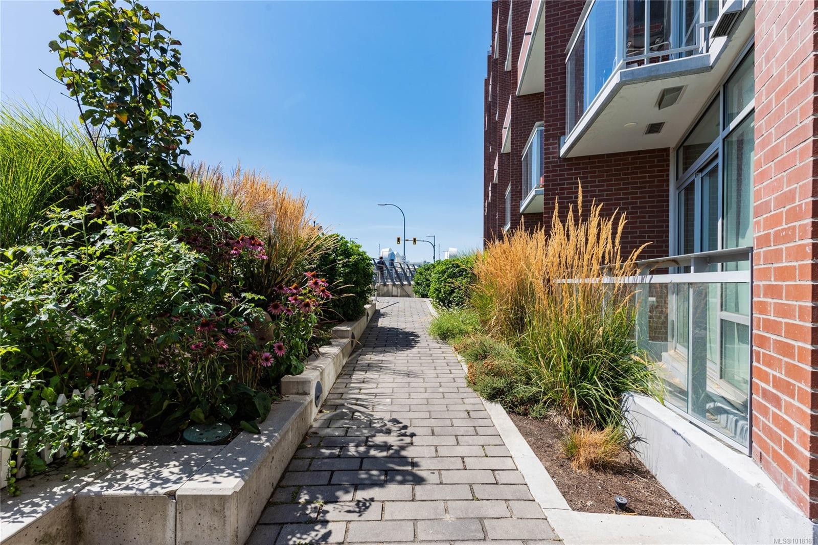 211-456 Pandora Ave, Victoria, BC - Outdoor