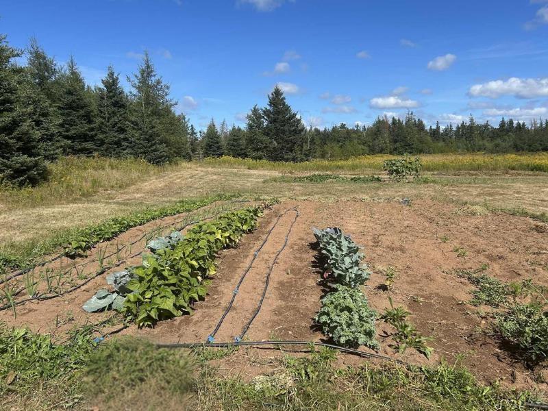 3320 Five Houses Road, Fort Augustus, PE