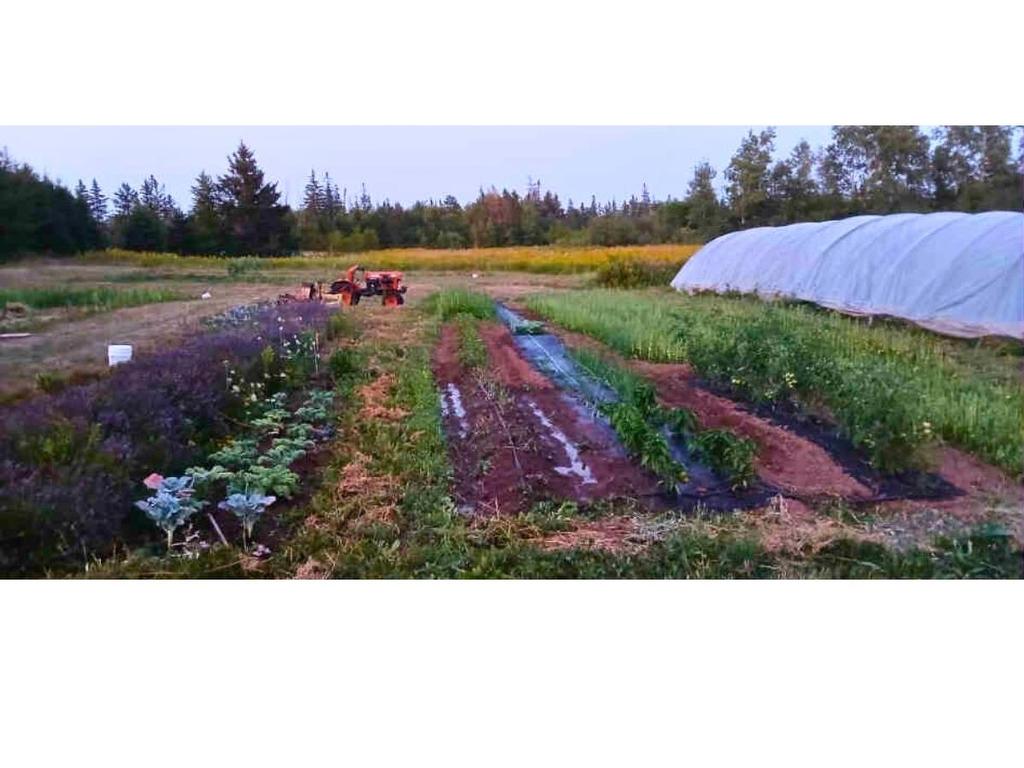 3320 Five Houses Road, Fort Augustus, PE