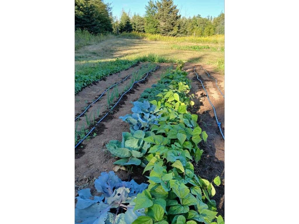 3320 Five Houses Road, Fort Augustus, PE