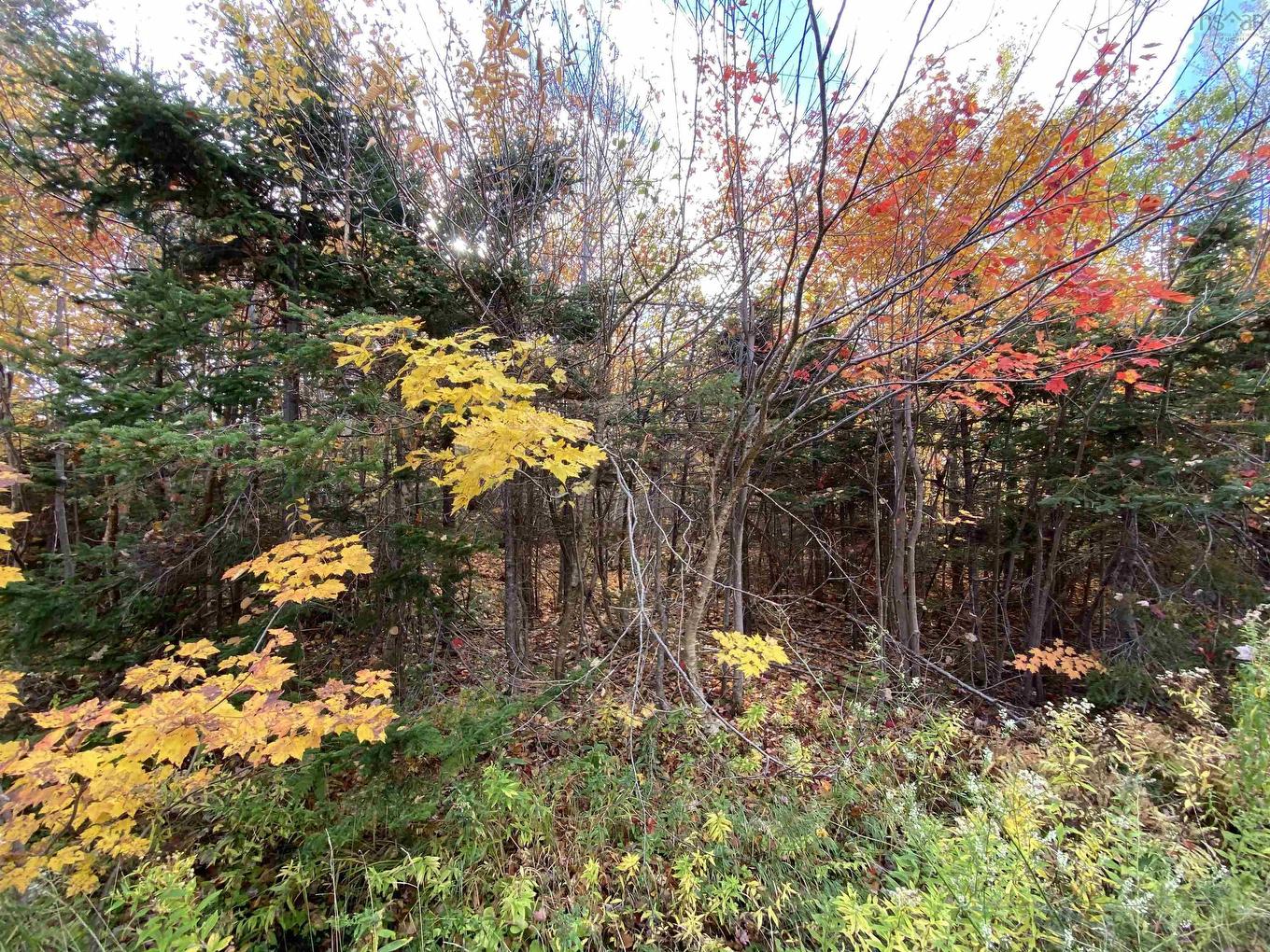 St. James Road, Big Bras D'Or, NS