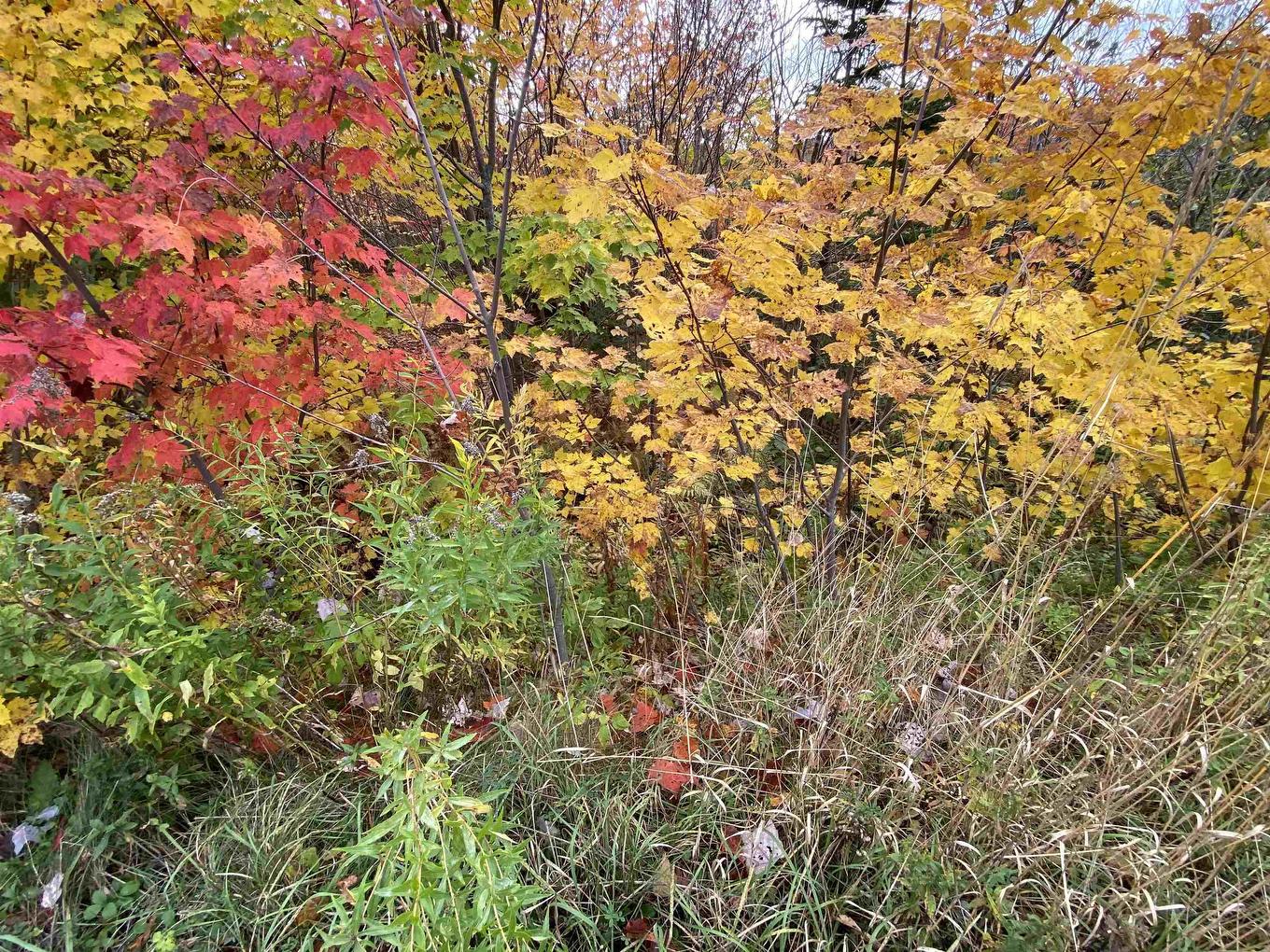 St. James Road, Big Bras D'Or, NS