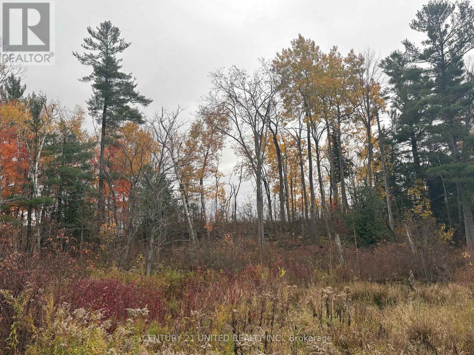 0 Godolphin Road, Trent Hills (Warkworth), ON