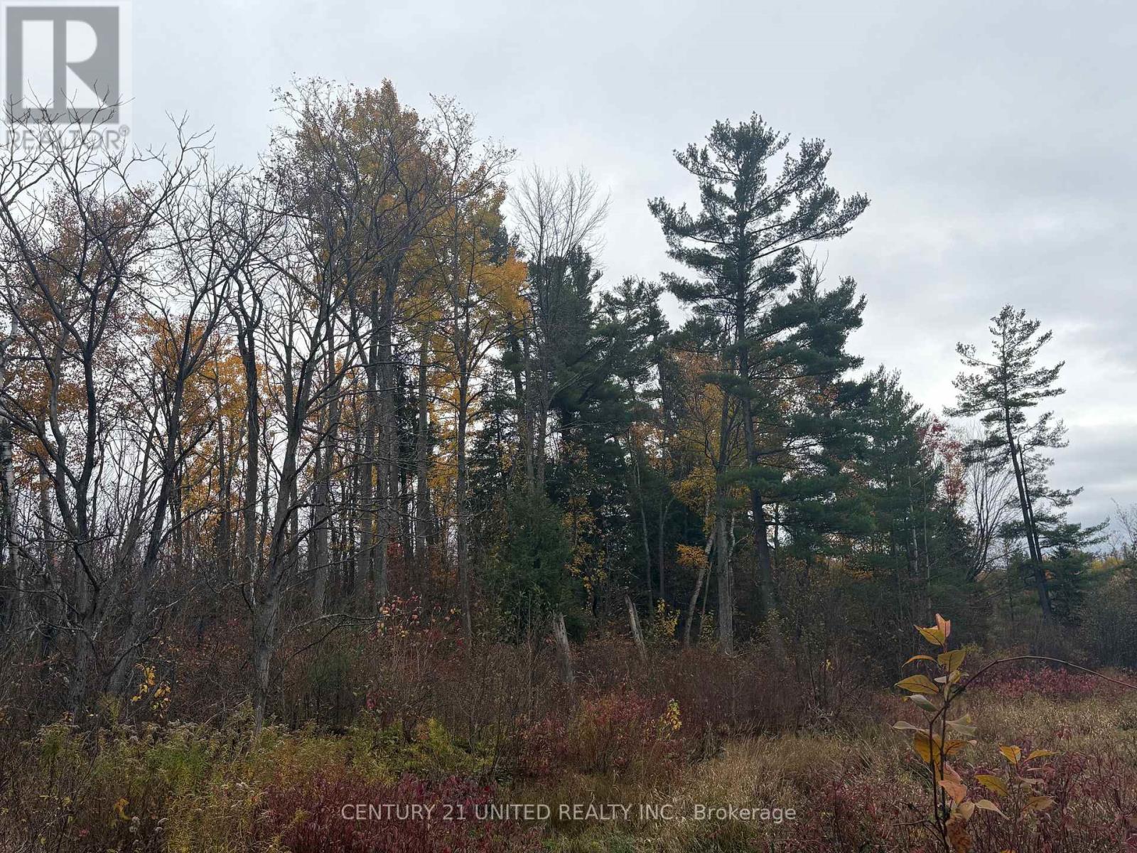 0 Godolphin Road, Trent Hills (Warkworth), ON