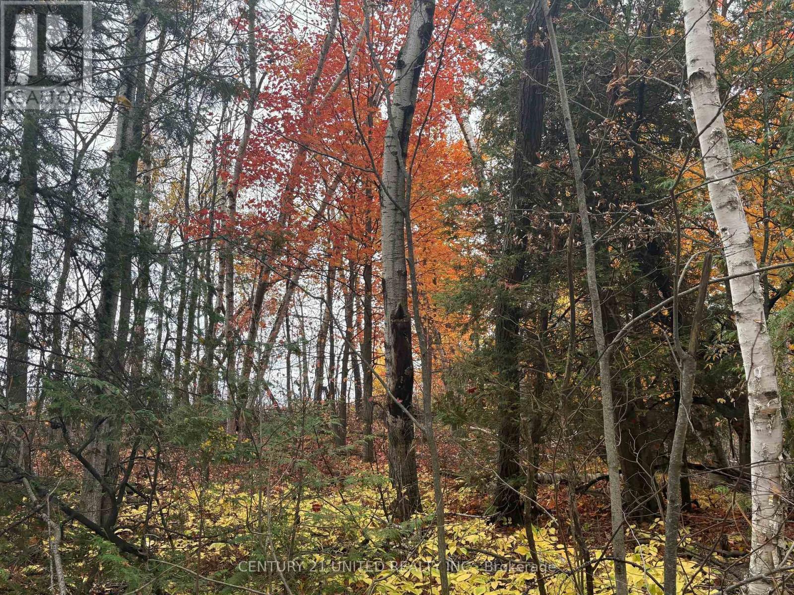 0 Godolphin Road, Trent Hills (Warkworth), ON