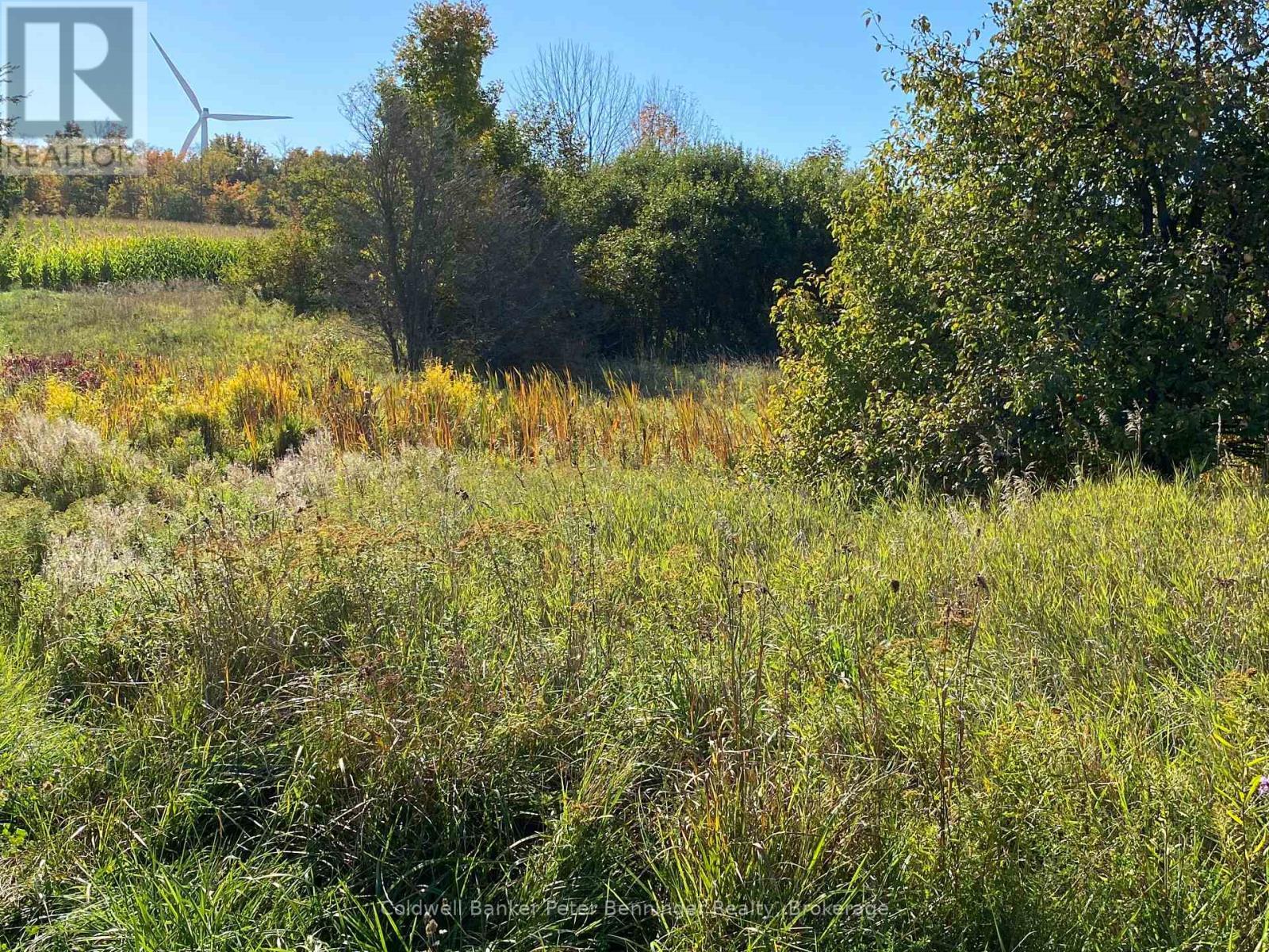 EP zoned area at south creek looking west. - 1315 Concession 8 Concession, Kincardine, ON
