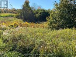 EP zoned area at south creek looking west. -