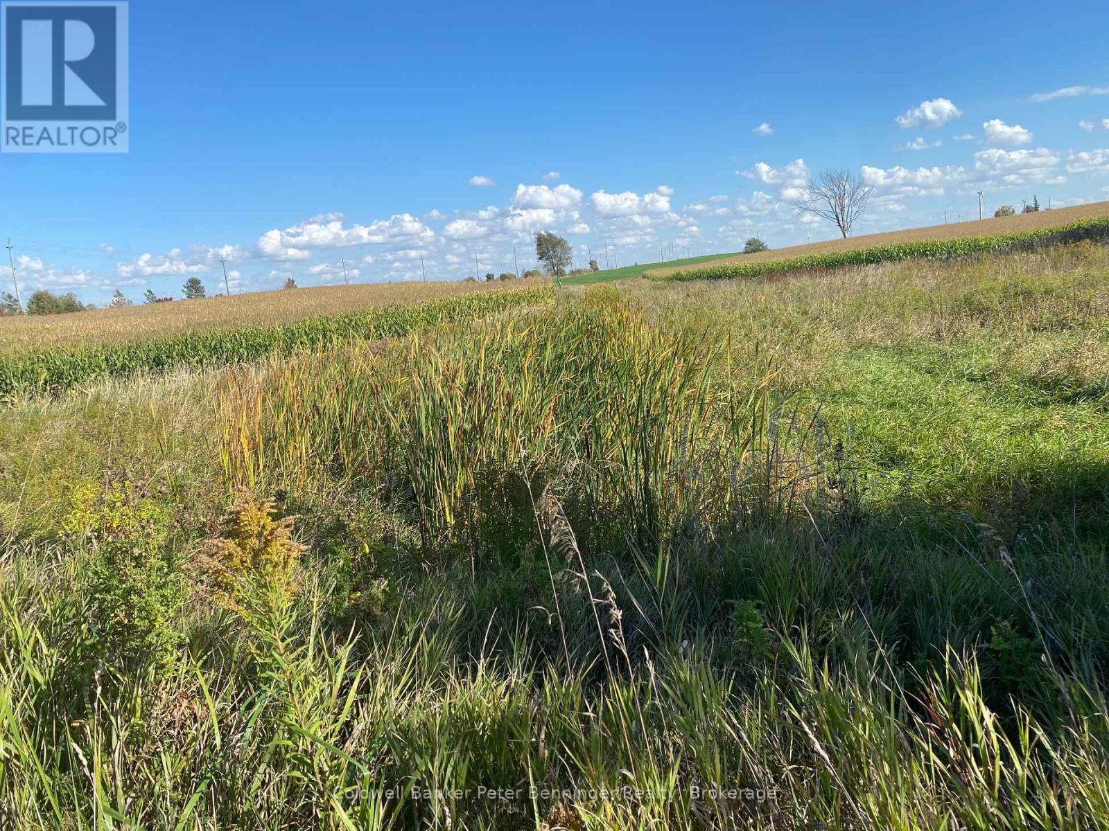 EP zoned area at south creek looking east. - 1315 Concession 8 Concession, Kincardine, ON