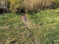Culvert crossing at north creek. -