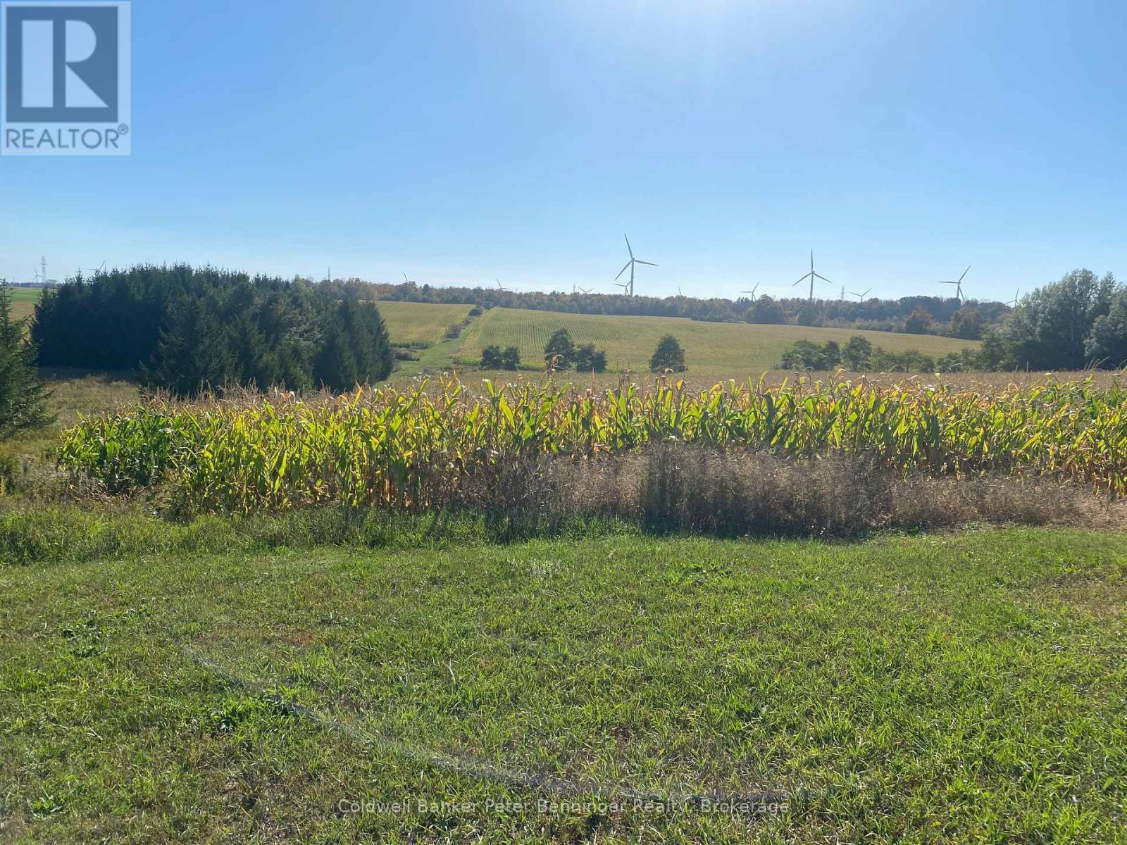 Another view from Concession 8 looking south. - 1315 Concession 8 Concession, Kincardine, ON