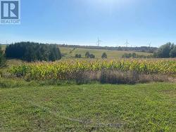 Another view from Concession 8 looking south. -