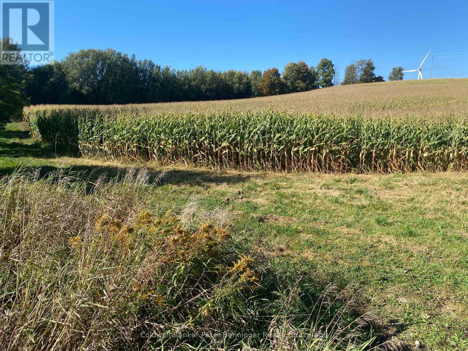 Trees are on proposed severance area (north west). - 1315 Concession 8 Concession, Kincardine, ON