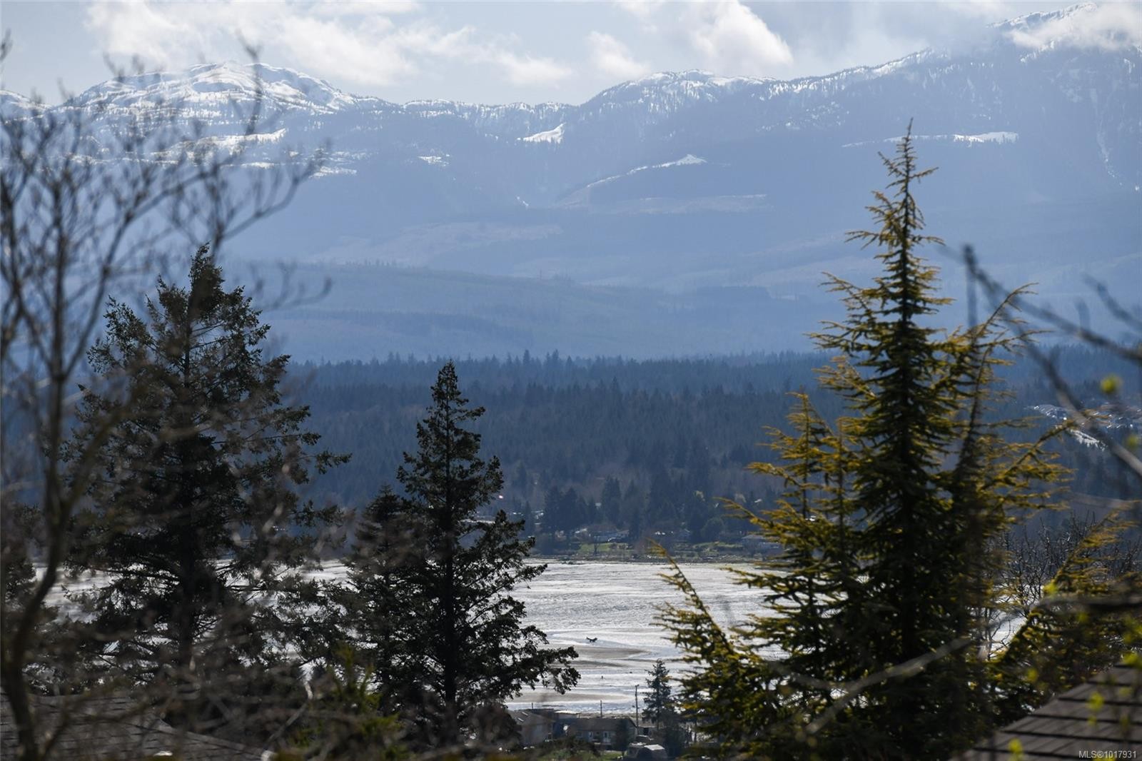 1547 Trumpeter Cres, Courtenay, BC