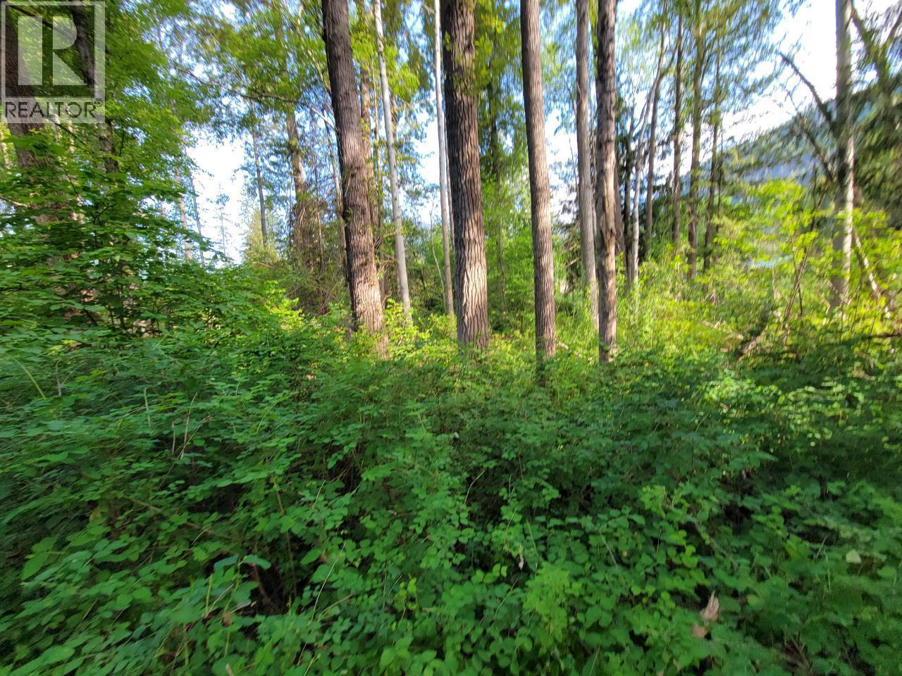 Lot 1 Passmore Old Road, Passmore, BC