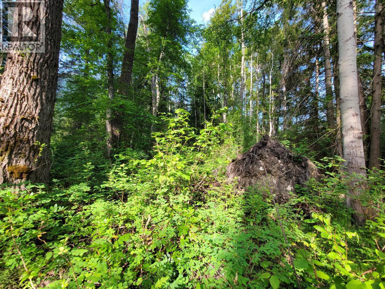 Lot 1 Passmore Old Road, Passmore, BC