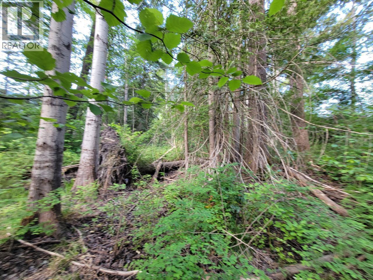 Lot 1 Passmore Old Road, Passmore, BC