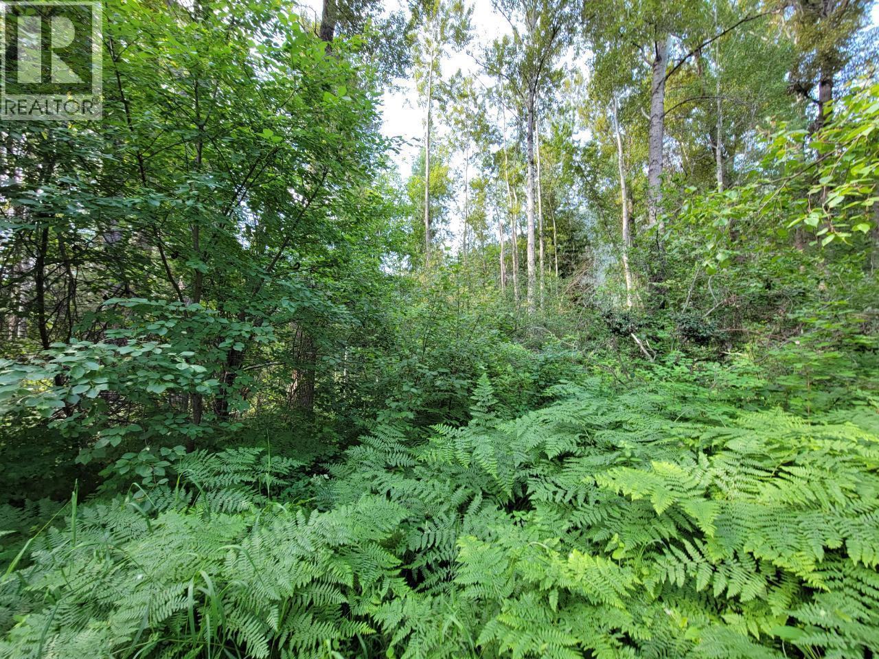 Lot 1 Passmore Old Road, Passmore, BC