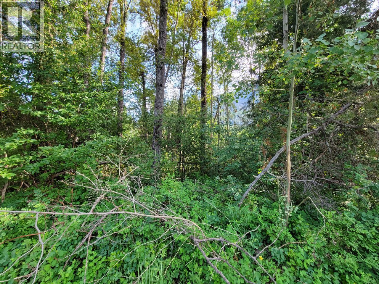 Lot 1 Passmore Old Road, Passmore, BC