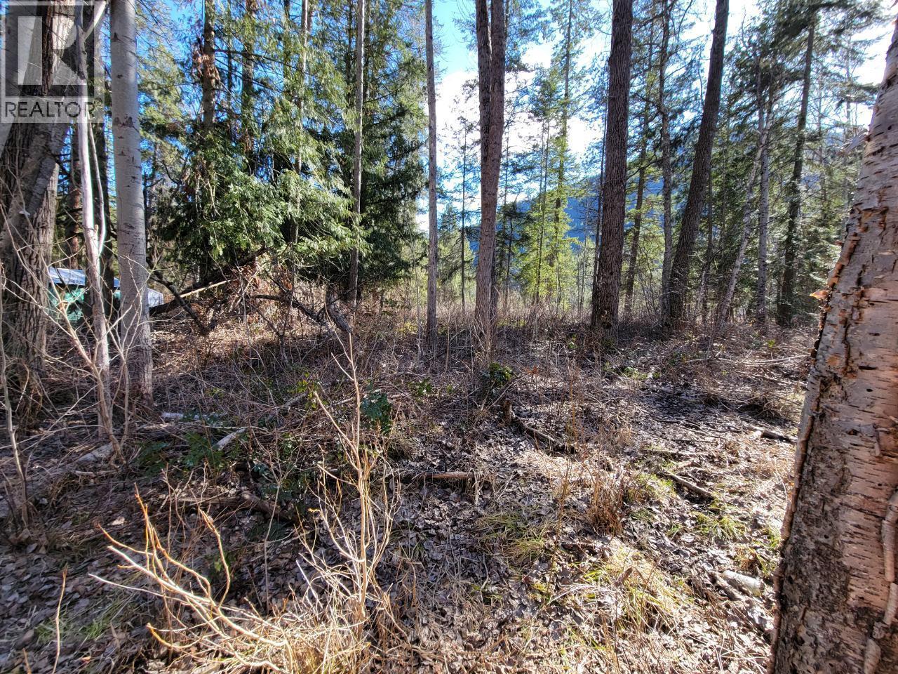 Lot 1 Passmore Old Road, Passmore, BC