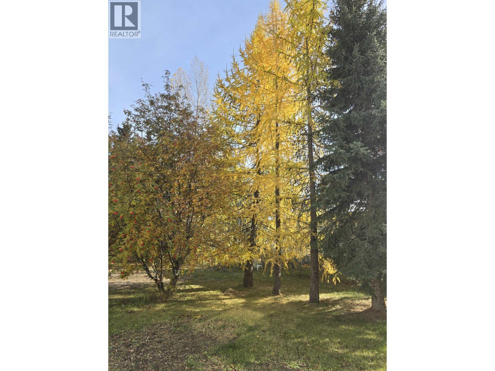 3941 Aird Road, Quesnel, BC - Outdoor With View