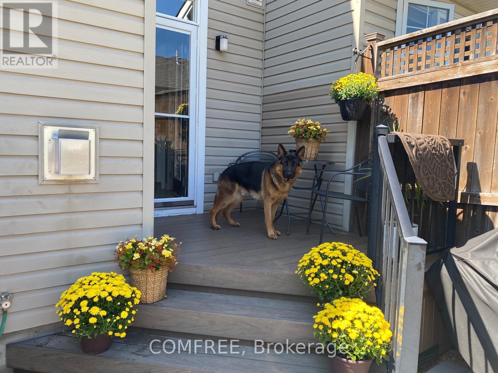 29D Cresthaven Drive, Ottawa, ON - Outdoor With Exterior