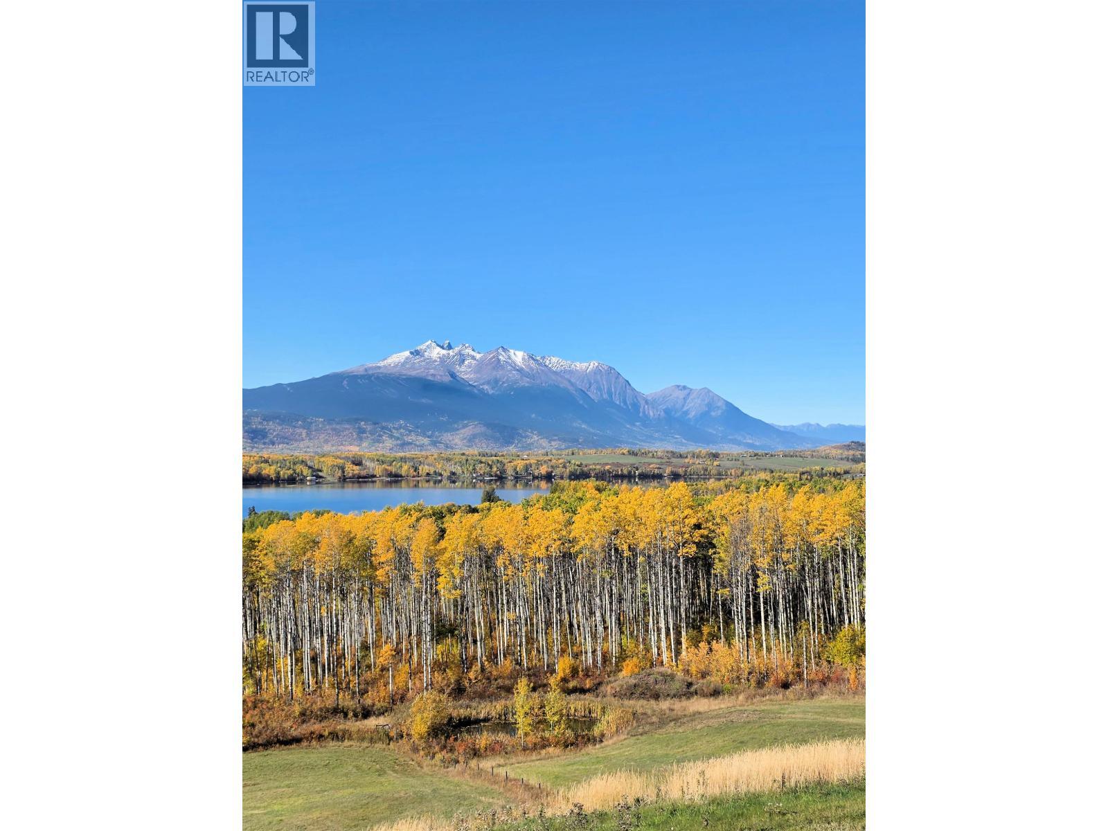 8020 Hislop Road, Telkwa, BC - Outdoor With View