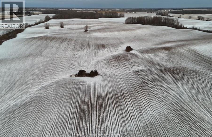 13119 Talbot Trail, Ridgetown, ON