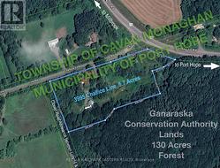Aerial map showing boundaries -