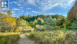 Trail through the front field -